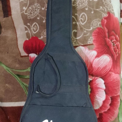 Cristal Reghin classical guitar with Ibanez soft case