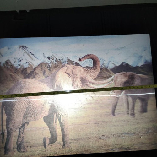 3D Decorative Wall Art with African Elephants Effect 39x29cm like new
