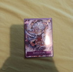 Monkey D. Luffy promo card