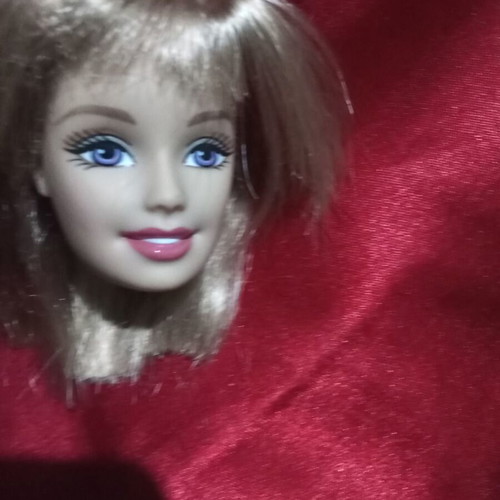 Barbie head used, collector's item