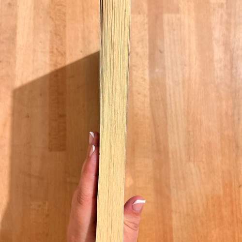 Book Submission Michel Houellebecq like new