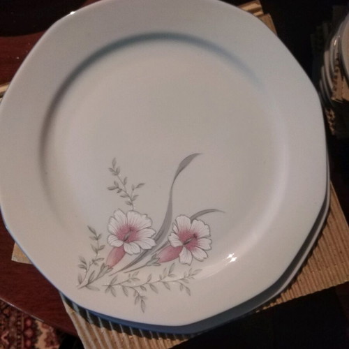 Bavarian porcelain dinnerware set new, 70 pieces