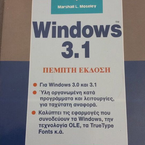 Windows 3.1 rare books new, sold together