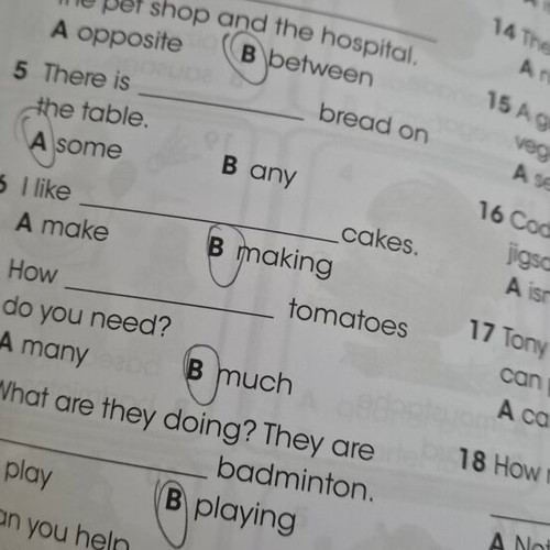 I Wonder Junior B Test Booklet used