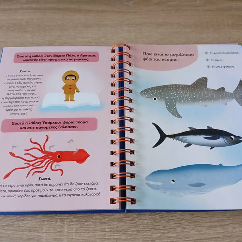 The Sea – My First Questions children's book like new