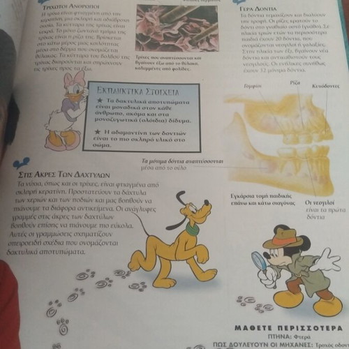 Disney Children's Encyclopedia The Human Body used, Greek literature
