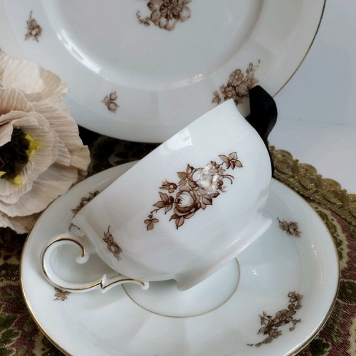 PT Tirschenreuth Bavaria antique coffee set used