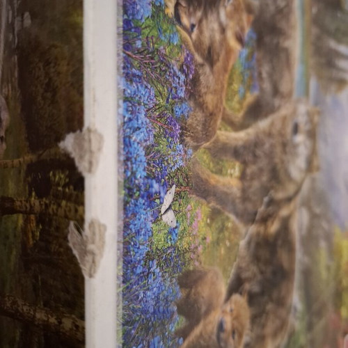 Puzzle 500 pieces used