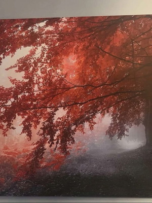 Painting 125x90 cm like new