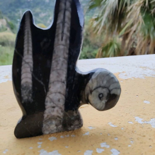 Decorative sculpture with authentic orthoceras and ammonite fossils like new