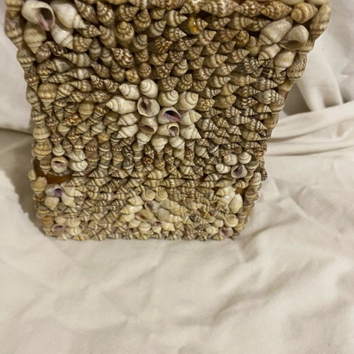 Jewelry storage box new, shell with beige velvet