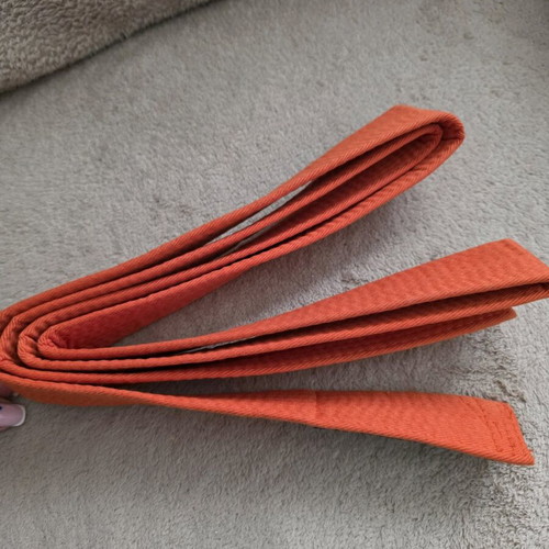 Orange FORCE1 martial arts belt, size 195, new
