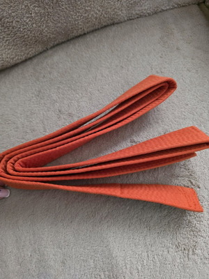 Orange FORCE1 martial arts belt, size 195, new
