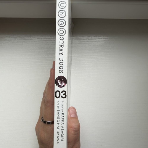Bungo Stray Dogs Volume 3 manga book like new, English