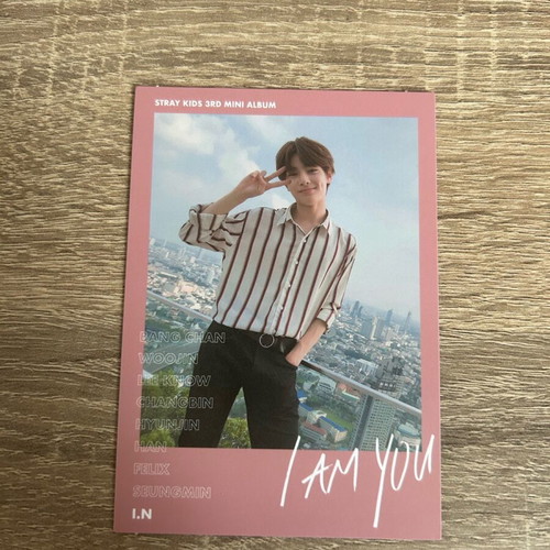 Stray Kids I Am You Polaroid in excellent condition