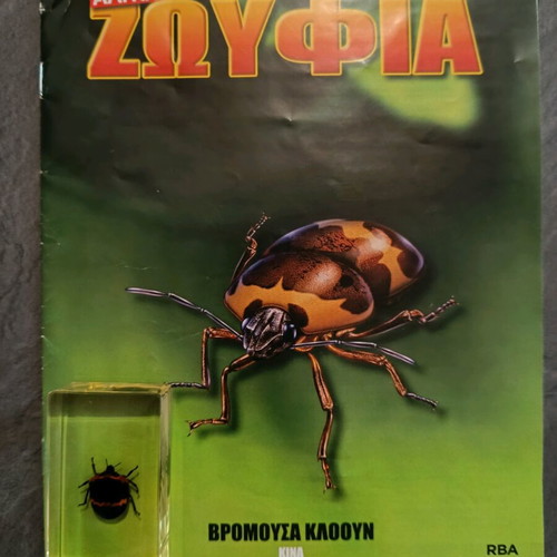 Alithina Zoyfia issue 19 used