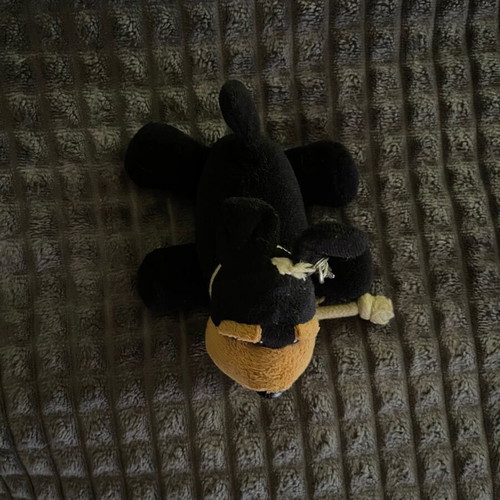 Dog keychain new, black