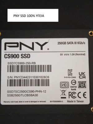 PNY CS900 SSD 250GB SATA III