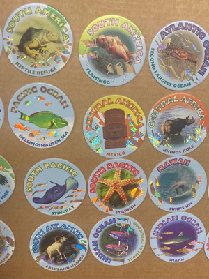 POG, Slammer, Milk Cap used, pack of 20 pieces