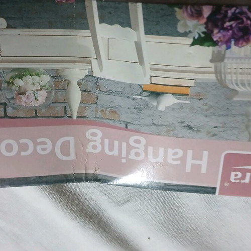 Decorative bird with cage new