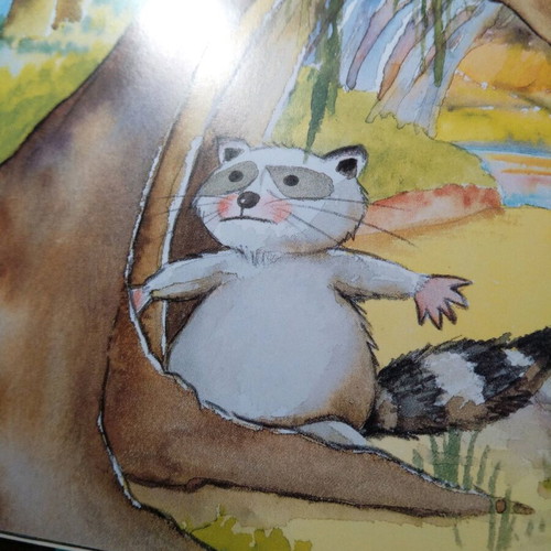 Children's book with beautiful illustrations and colors