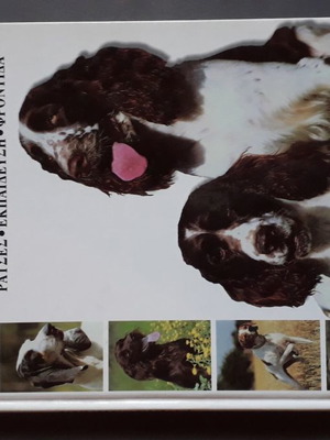 Hunting Dogs Breeds Training Care Book by Jean-Michel Lepeudry