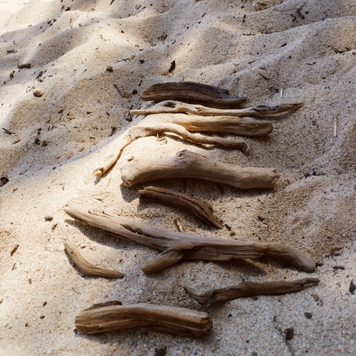 Driftwood pieces for decoration and crafts