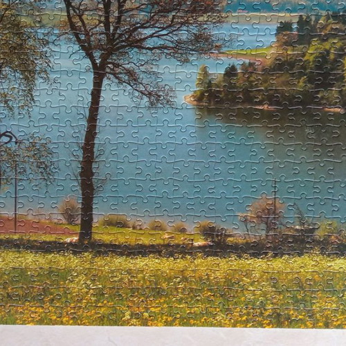Puzzle board used with 1000 pieces glued on cardboard