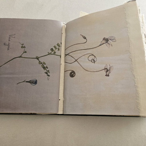 Handmade Writing Book I've Got Something to Say new