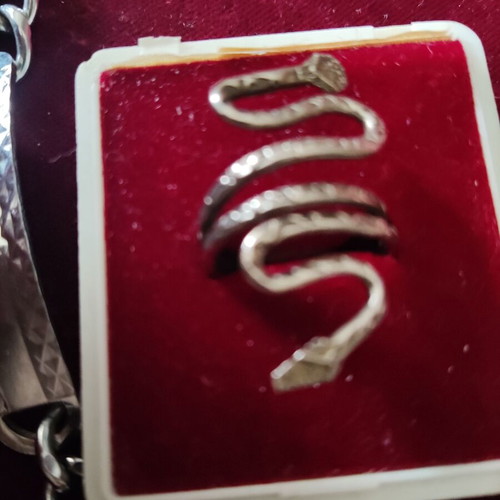Snake ring and gift identity silver, new