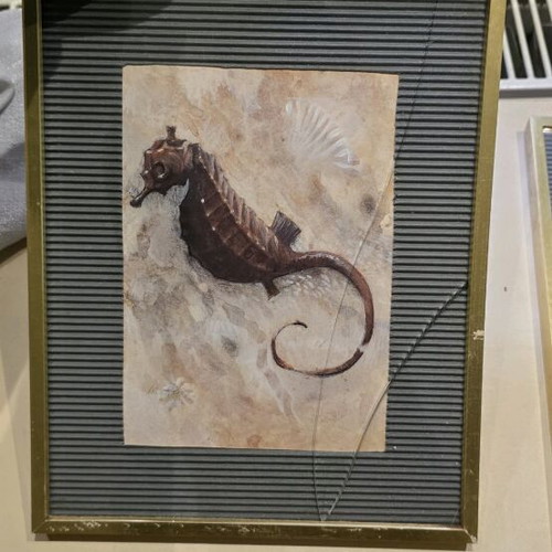 Set of 4 Seaside Themed Frames used with broken glass