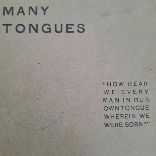 The Gospel in Many Tongues used book, 1912, Greek included