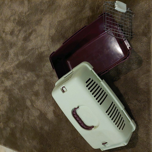 Plastic dog carrier cage like new, small Maltese type