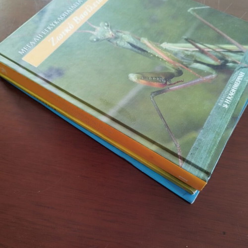 Zootiko Vasilio I, Family and Friends, I Proti Mou Egkyklopaideia children's books