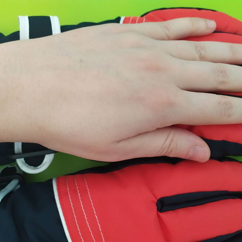 Ski gloves new