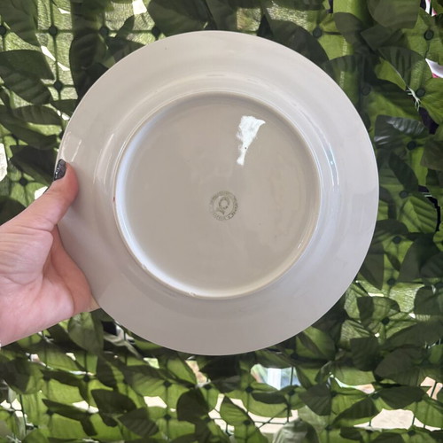 Vintage dinner plates with floral pattern, set of 2, 24 cm