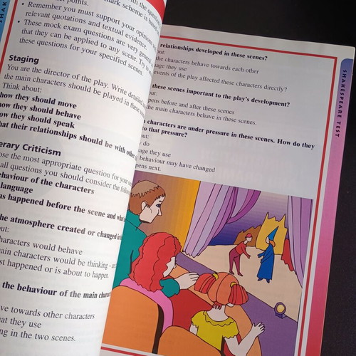 KS3 Success Visual Revision Guide English Levels 4-7 like new