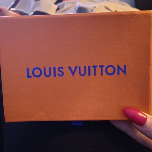 Louis Vuitton storage box new