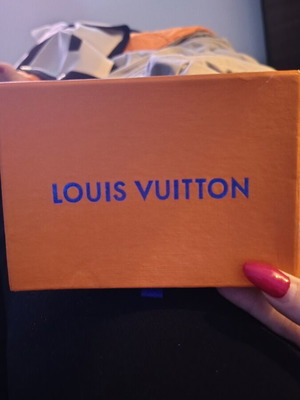 Louis Vuitton storage box new