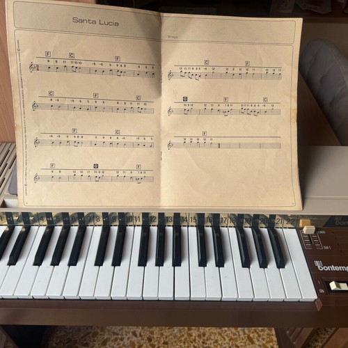 Bontempi electric chord organ like new