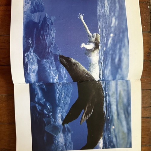 Journey to the Island of Fantasy used children's book