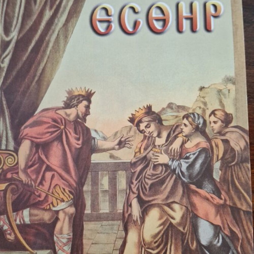 Book Esther religious literature like new