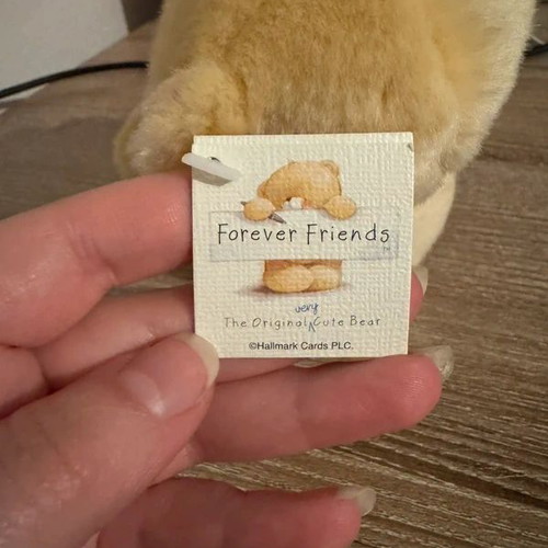 Forever Friends Teddy Bear Friends Edition by Hallmark