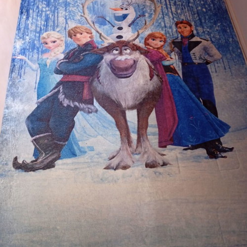 Frozen set for kids' room with curtain, rug, sheets, bedspread & decorative pillow