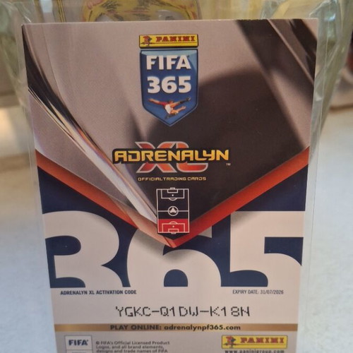 Robin Le Normand Numbers Panini card 2026