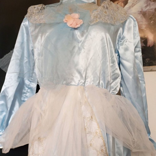 Victorian style carnival costume size 12 like new