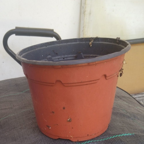 Greenhouse plant pots 10.5 cm
