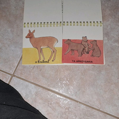 Animals Living Free with Their Young book used