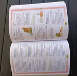School Book Illustrated Dictionary like new