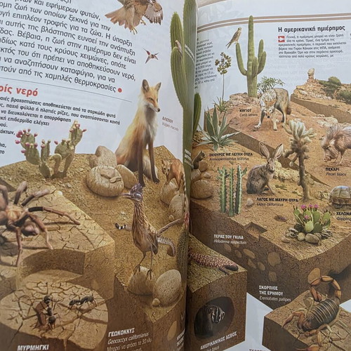 Atlas of Sciences: Ecology book like new, Greek edition